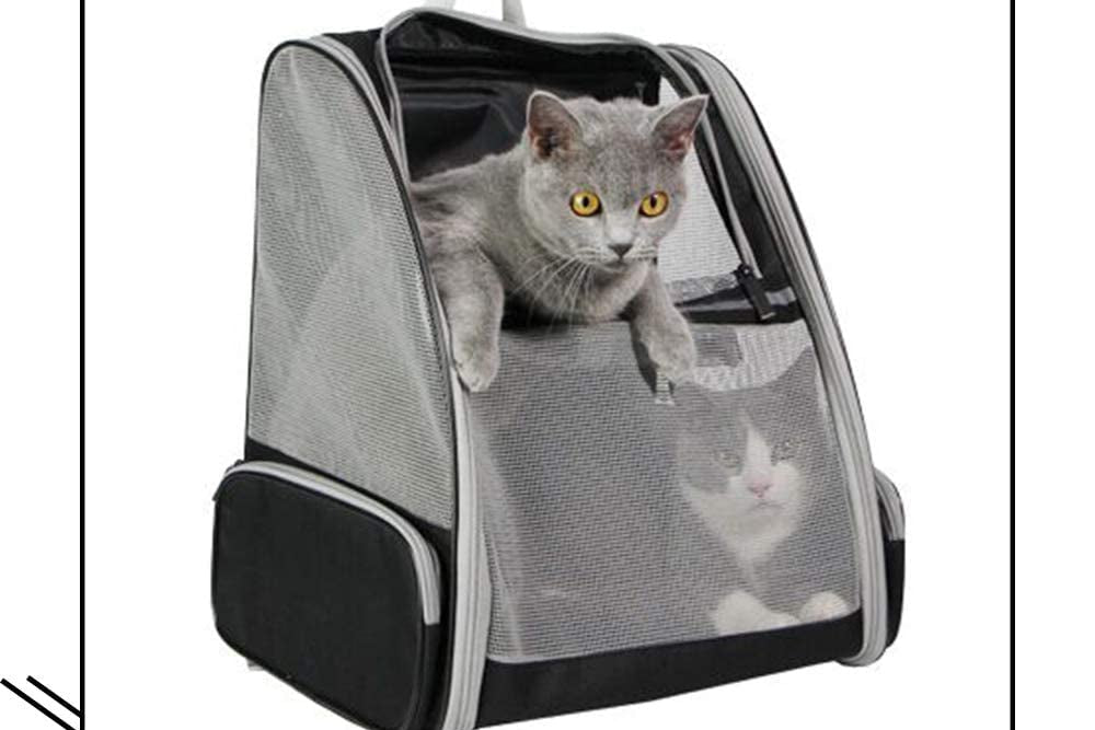 Innovative Traveler Bubble Backpack Pet Carriers for Cats and Dogs (Black)
