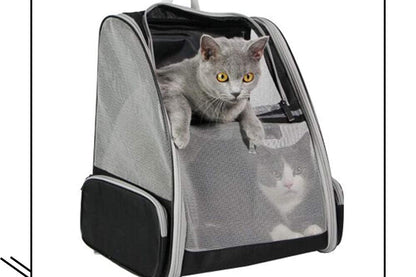 Innovative Traveler Bubble Backpack Pet Carriers for Cats and Dogs (Black)